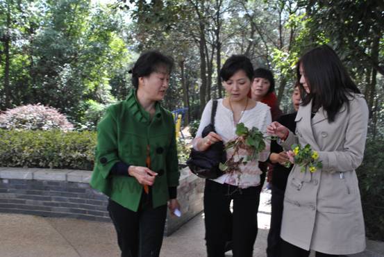 开云_微软开发脑机交互:意念控制操作系统(图2) 开云官网